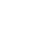 list item image